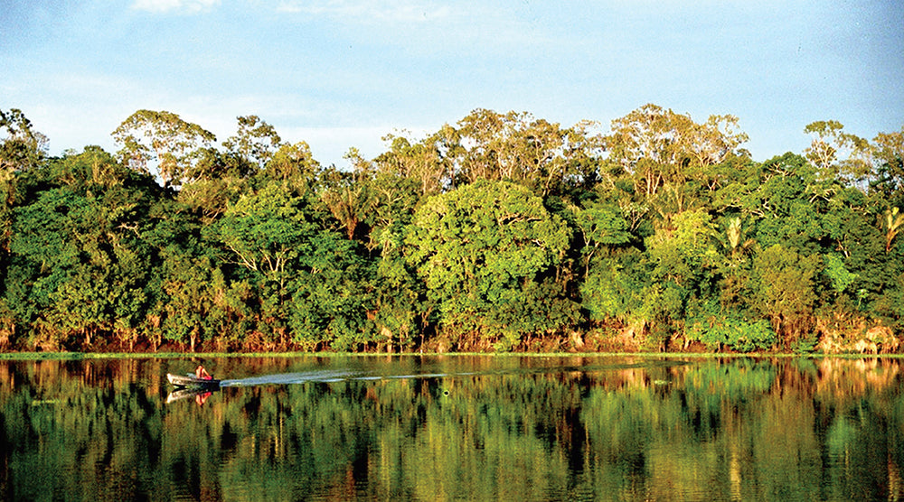 Viagem para Amazônia, a terra do Pirarucu