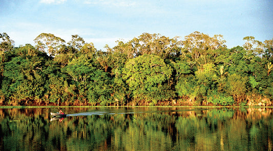 Viagem para Amazônia, a terra do Pirarucu